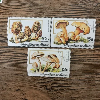 3 бр./компл. Пощенски марки Гвинейской поща с гъби маркировка, пощенски марки за колекционери