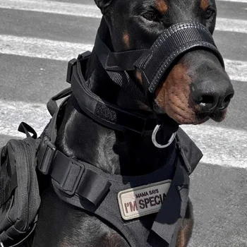 Дубин Тактически калъф за устата Взривозащитен Pulse Тренировъчен калъф за устата Голямо куче Немска гонче Вранглер Работно куче